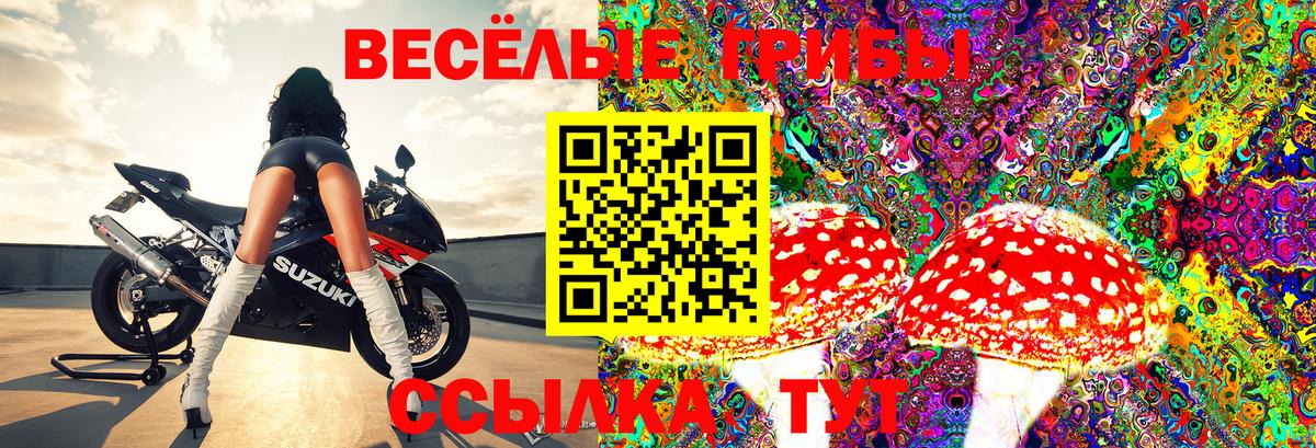 Псилоцибиновые грибы GOLDEN TEACHER  Вход с VPN  Балашиха 